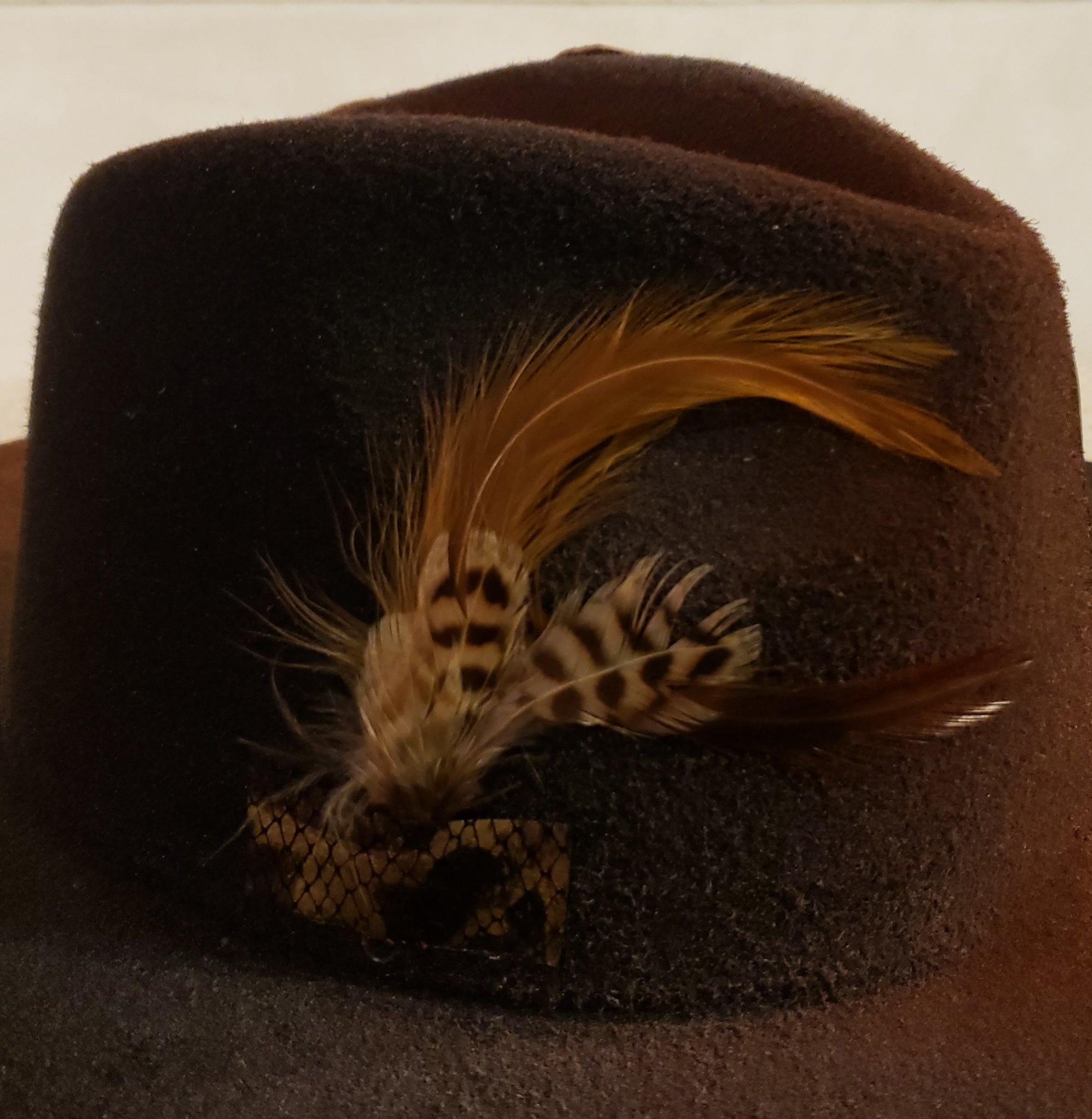 Safari Brim